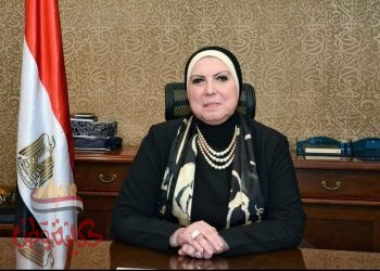 وزيرة التجارة والصناعة تصدر قراراً بوقف تصدير الفول بكافة انواعه لمدة 3 أشهر