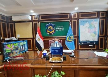 رئيس جامعة دمنهور يتابع منسقي لجان الإقتراع من خلال الفيديو كونفرانس
