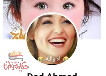 قانون العيب