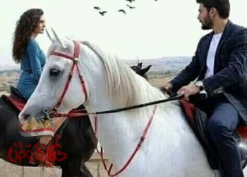 بين الحب ولا حب آلاف الأميال