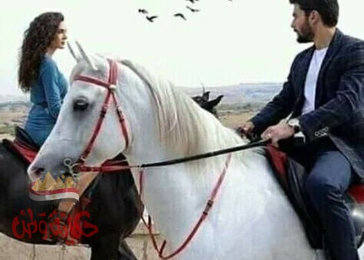 بين الحب ولا حب آلاف الأميال