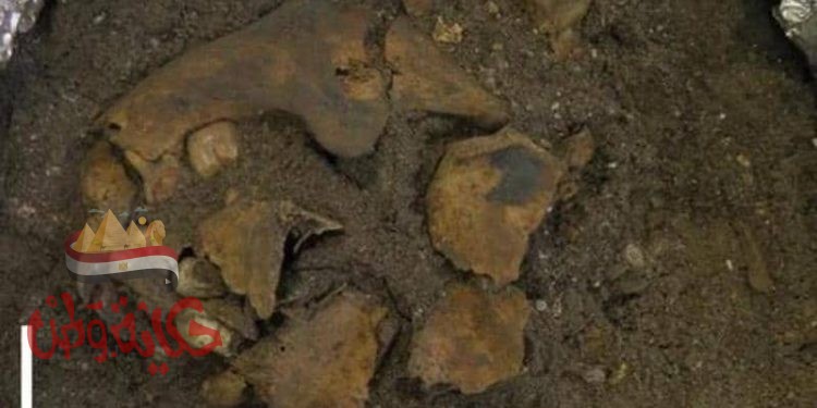 إندونيسيا اكتشاف مخيف في كهف ماكبان