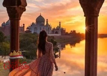 بين المفترق