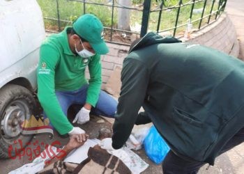 فريق أطفال وكبار بلا مأوى ينقذ مواطن مقيم بالشارع بوسط القاهرة