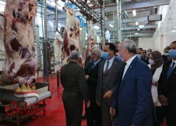رئيس جامعة الفيوم : مجمع الإنتاج الحيواني المتكامل يسهم في سد الفجوة الغذائية والسيطرة على أسعار السلع الاستراتيجية