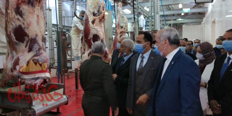 رئيس جامعة الفيوم : مجمع الإنتاج الحيواني المتكامل يسهم في سد الفجوة الغذائية والسيطرة على أسعار السلع الاستراتيجية