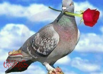 يوم الطفل العالمي