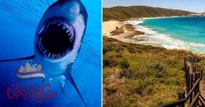 إغلاق شاطئ بولاية أستراليا الغربية بعد وفاة رجل في هجوم لسمكة قرش