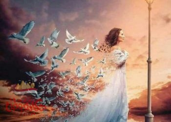 حسم البداية