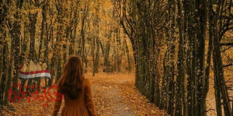 حكاية حپ لم تولد بعد