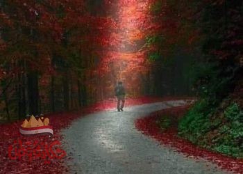 دروس من الماضي