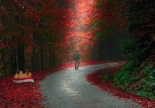 دروس من الماضي