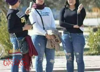 الاحتشام أصل الجمال