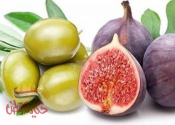 ما يحدث لجسم الإنسان إذا أكل التين والزيتون معاً