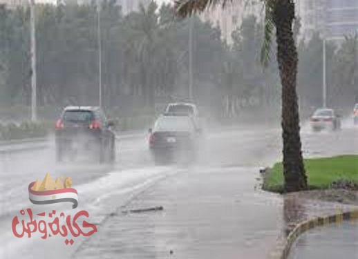 الإسكندرية : سقوط أمطار غزيرة على الميناء ومنطقة سموحة  .. بالفيديو