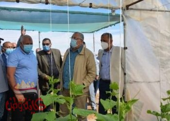 وزيرا الزراعة والري ومحافظ الوادي الجديد يتفقدون بعض المشروعات الزراعية وتحديث الري بالمحافظة