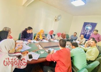 عمليات مستقبل وطن: إقبال كثيف وطوابير على اللجان الانتخابية بكفر الشيخ