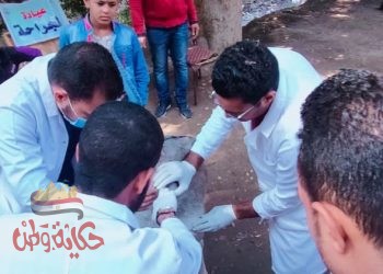 قافلة بيطرية مجانية تنظمها جامعة سوهاج لقرية شطوره بمركز طهطا