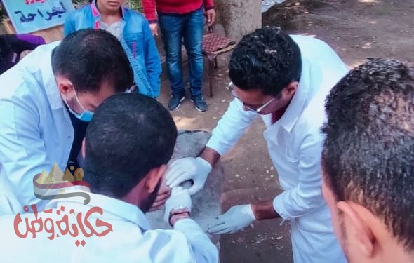 قافلة بيطرية مجانية تنظمها جامعة سوهاج لقرية شطوره بمركز طهطا