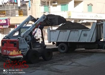 الغربية: حملة نظافة بنطاق حي اول طنطا