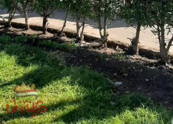 بني سويف .. أستعدادات مكثفة لجولة الإعادة للأنتخابات البرلمانية