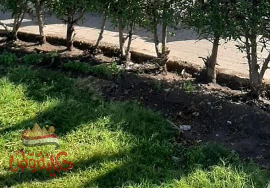 بني سويف .. أستعدادات مكثفة لجولة الإعادة للأنتخابات البرلمانية