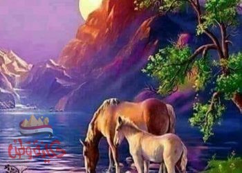 قاسية القلب أنا ناكرة الجميل