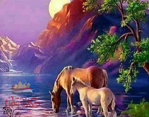 قاسية القلب أنا ناكرة الجميل