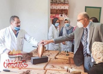 رئيس جامعة طنطا : صحة الطلاب “أولوية قصوى”