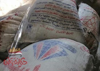 صحة الغربية  تضبط أغذية فاسدة بالمحلة ثاني