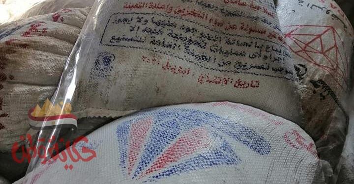 صحة الغربية تضبط أغذية فاسدة بالمحلة ثاني