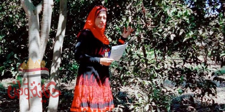 محاضره عن الحشرات التي تصيب الحمضيات بابشواي