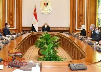 السيسي يتابع المشروع القومي لتصنيع وتجميع مشتقات البلازما في مصر، بالشراكة مع شركة “جريفولز” الإسبانية العالمية