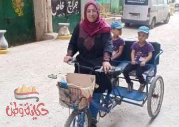 نفين القباح