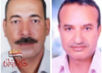 السويس للشحن : حققنا ايرادات غير مسبوقة ونأمل في تحقيق نجاحات اكبر