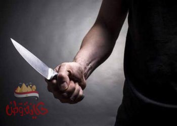 عاجل.. شاب يقتل أمه وشقيقه في مذبحة أسرية بحدائق الأهرام