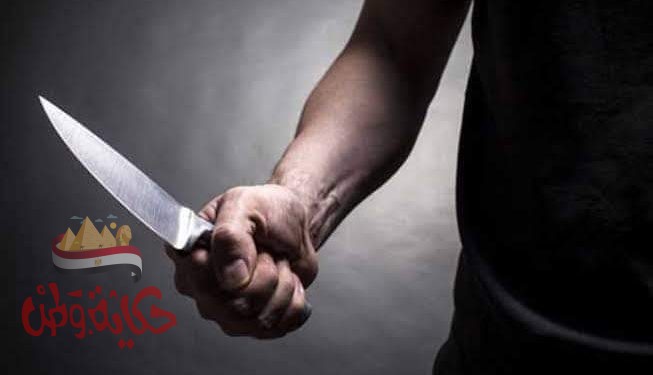 عاجل.. شاب يقتل أمه وشقيقه في مذبحة أسرية بحدائق الأهرام