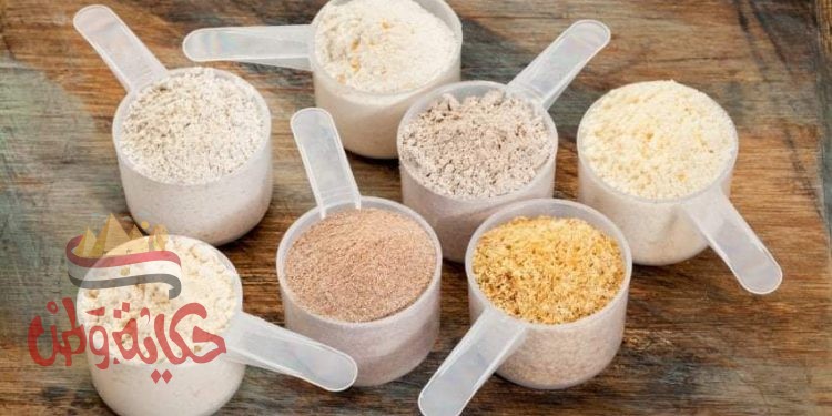 أهمية البروتين لجسم الإنسان