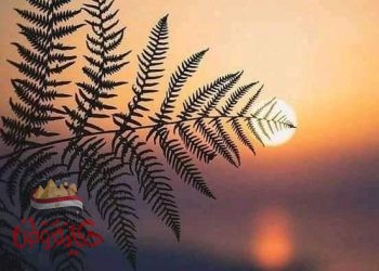 مررت بجانب اسوار قلعتك