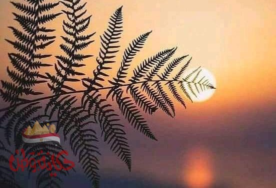 مررت بجانب اسوار قلعتك