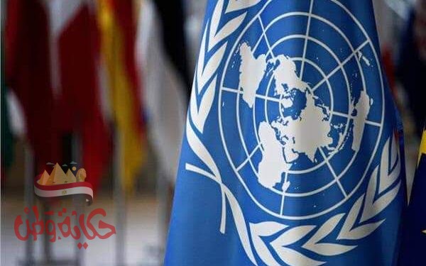 أبوالياسين : تعسف الـ فيتو ينال من عرقلة قضايا المنطقة العربية .