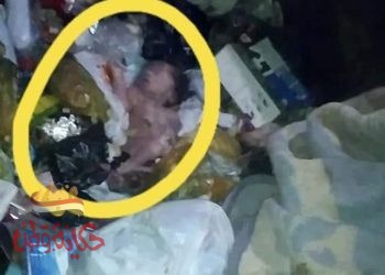 صندوق قمامة ارحم من حنان الأم