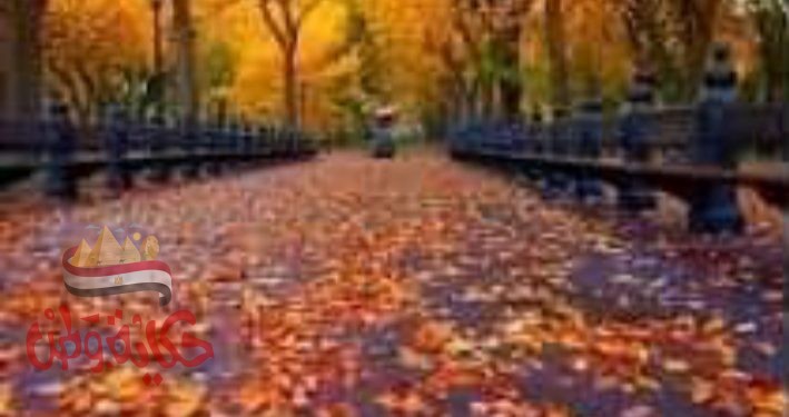 على الدنيا السلام