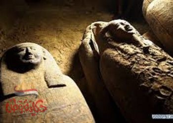 شبكة CNN : الاكتشافات الأثرية فى مقبرة سقارة