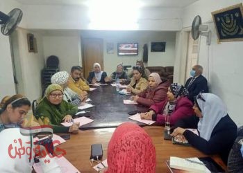 دعم المشروعات الصغيرة والاهتمام بالمرأة المعيلة محور اهتمام  كتلة ستات وشباب التحدى