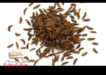 ليست من النباتات العطرية فحسب