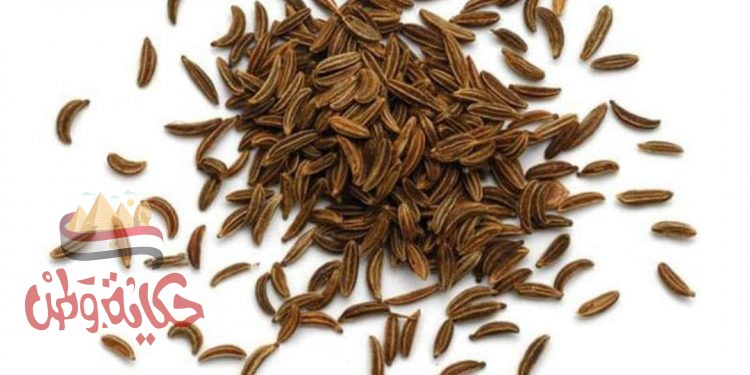 ليست من النباتات العطرية فحسب