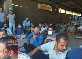 نحارب البطالة و 276 أسرة فقدوا مورد رزقهم