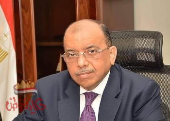  وزير التنمية المحلية يوجه بمناهضة العنف ضد المرأة