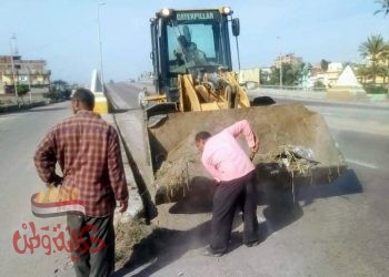 البحيرة : رفع ٦٧ طن تراكمات وتحرير عدد ١١ محضر تمويني بمركز ومدينة أبو حمص